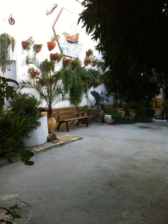 Patio Das Flores Ferreira Do Alentejo Luaran gambar