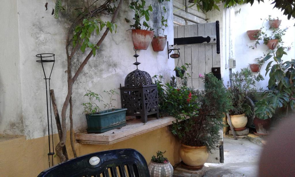 Patio Das Flores Ferreira Do Alentejo Luaran gambar