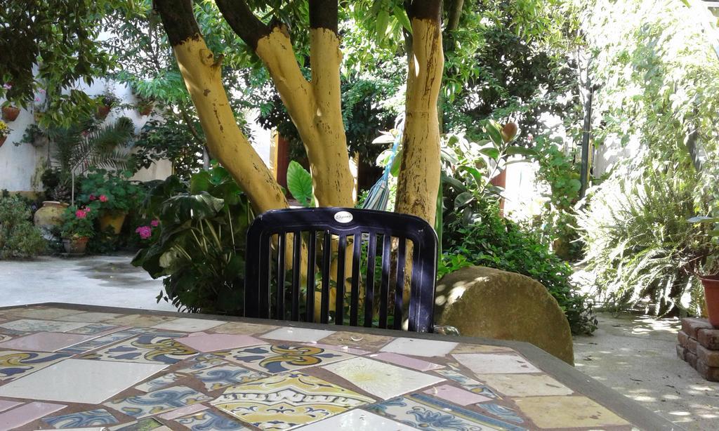 Patio Das Flores Ferreira Do Alentejo Luaran gambar