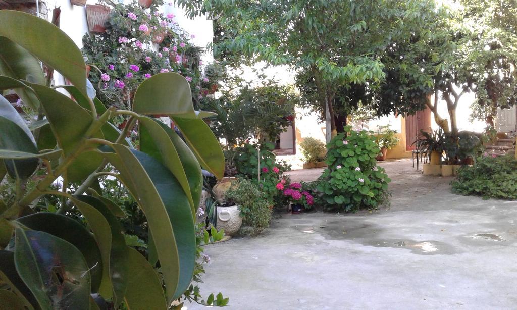 Patio Das Flores Ferreira Do Alentejo Luaran gambar